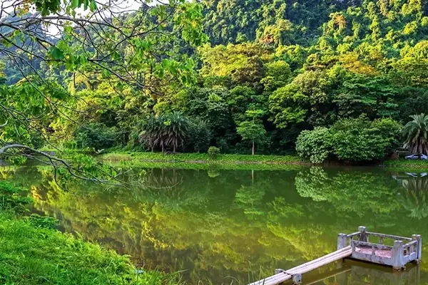 Cuc Phuong National Park