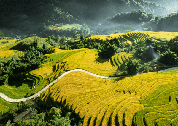 Sapa in the Fall