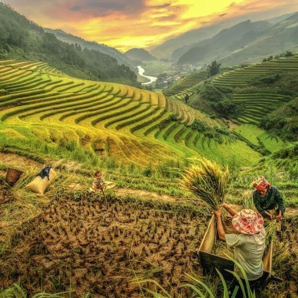 Autumn in Sapa