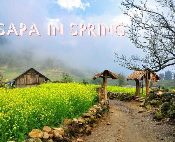 Spring in Sapa