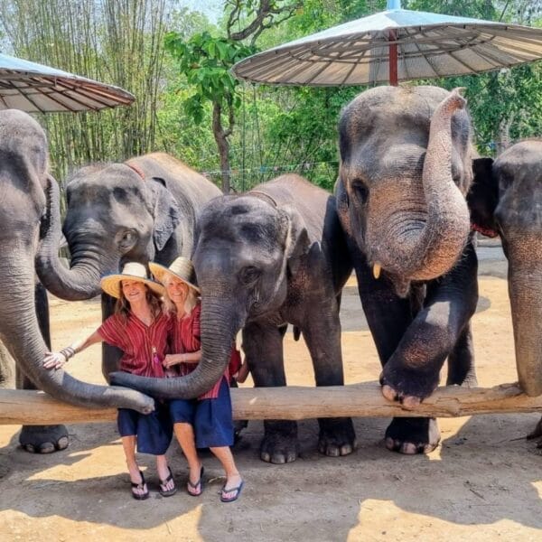 Elephant Sanctuary in Chiang Mai