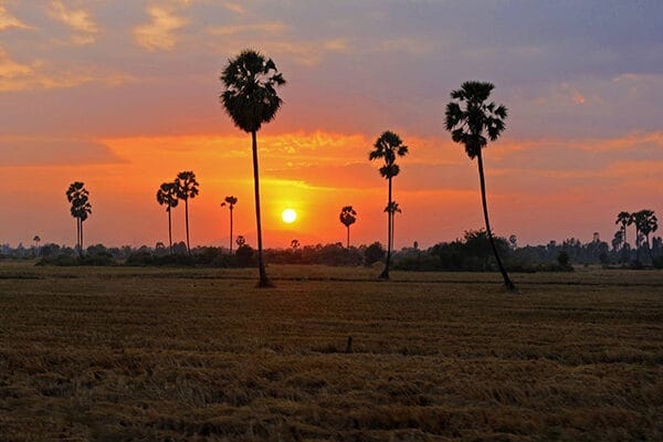 Dry Season in Phnom Penh