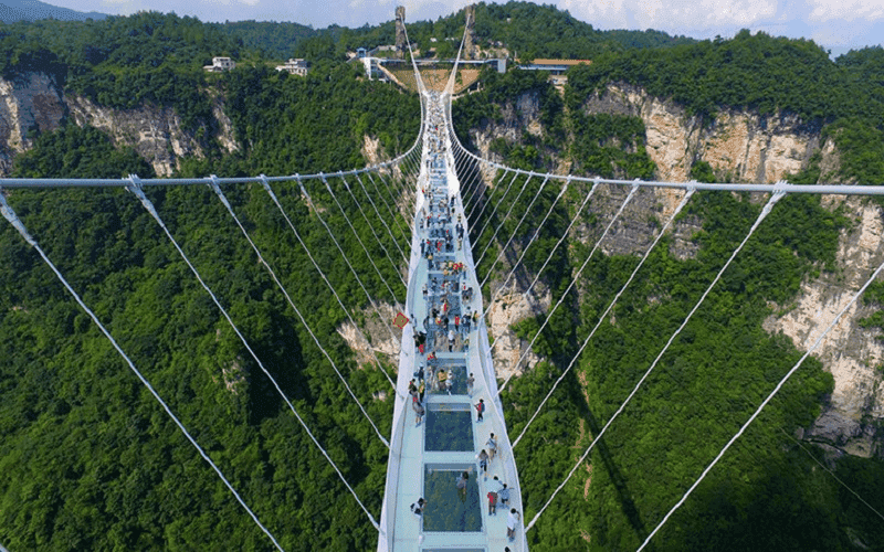 the glass bridge