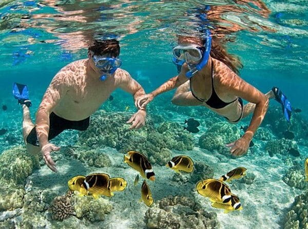 Diving & Snorkeling