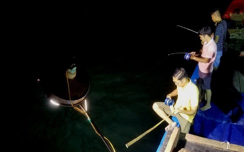 Experience squid fishing