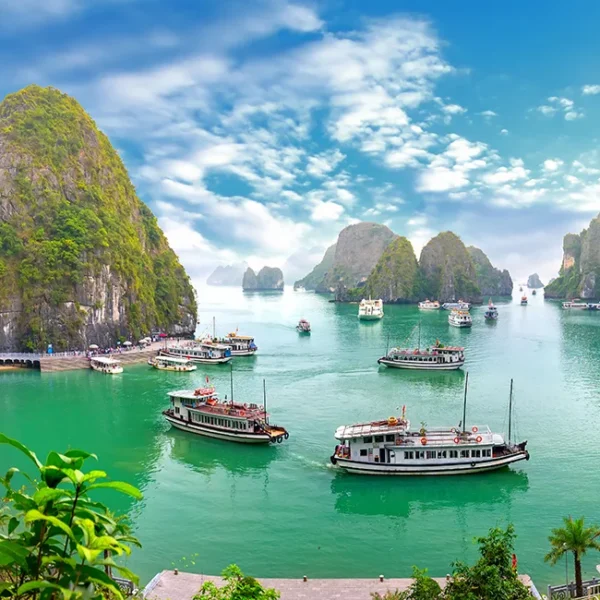 Summer in Ha Long Bay is the right time to participate in water activities