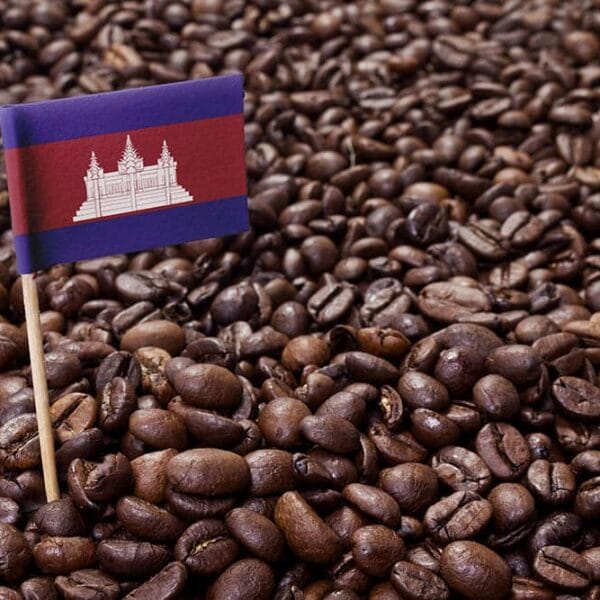 The Khmer coffee