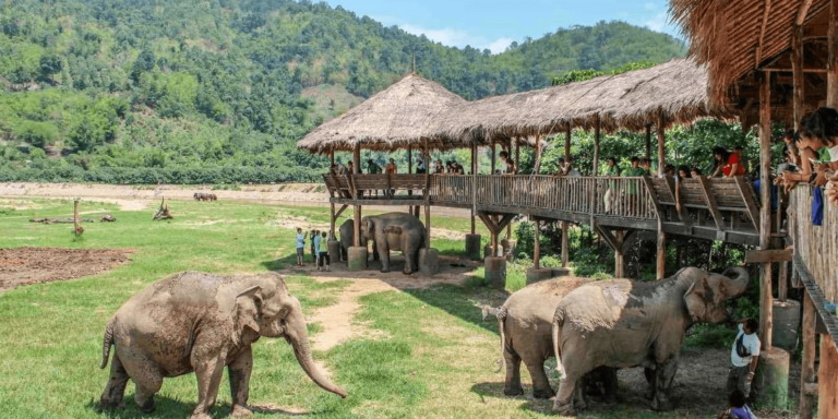 Elephant Nature Park