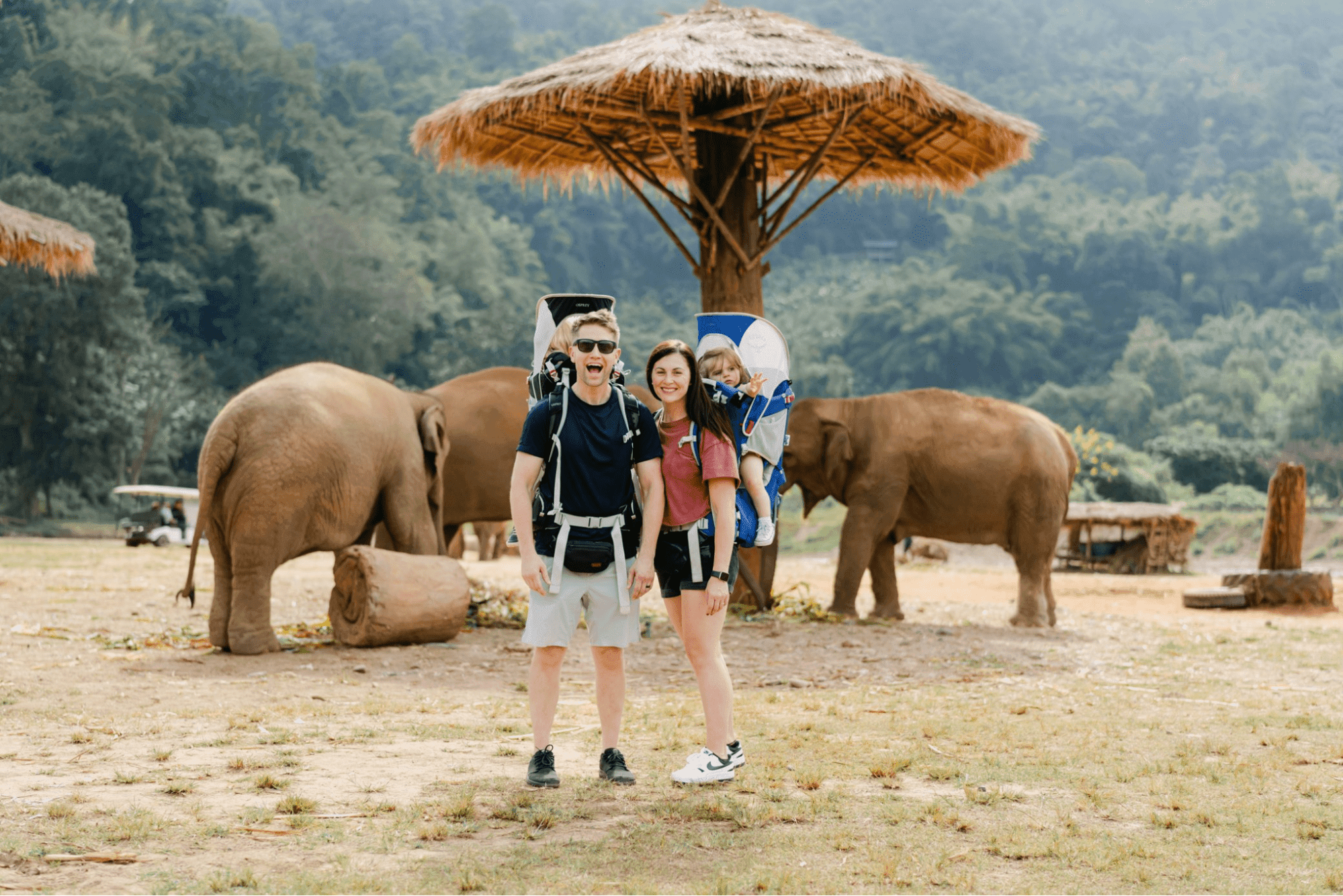 Exciting experience at Elephant Nature Park