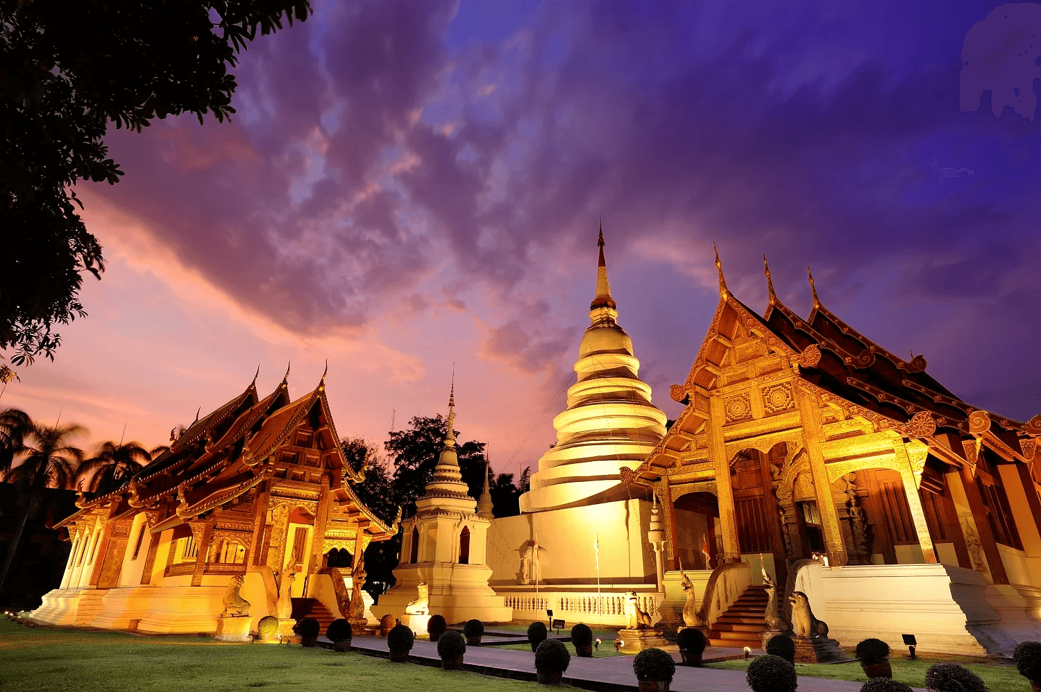 Explore Wat Phra Singh in Chiang Mai