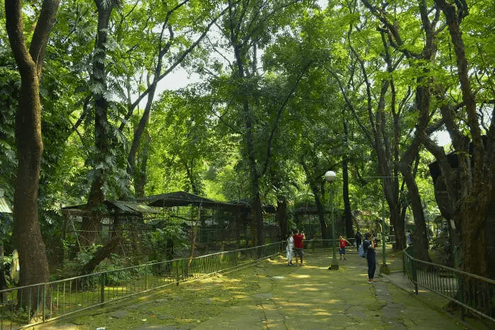 Phnom Tamao Wildlife Rescue Center – A sanctuary for endangered species 