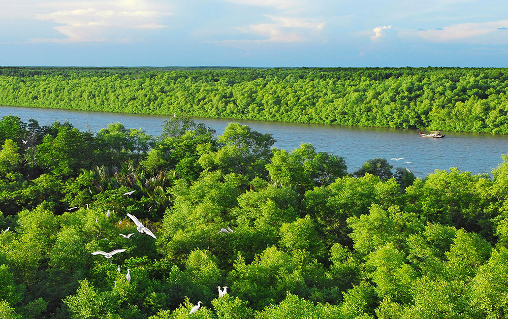 Can Gio - a UNESCO-listed biosphere reserve 