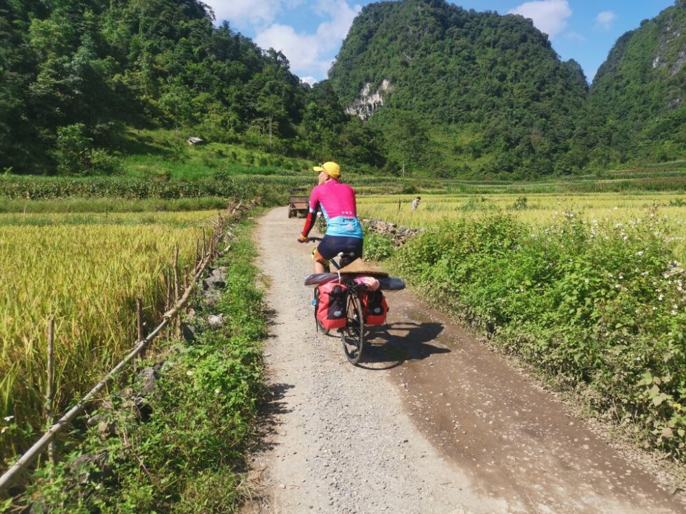 Cycle past rice paddies and villages, soaking in Vietnam’s peaceful countryside