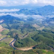 Truong Son mountain is a haven for nature enthusiasts, boasting an extraordinary level of biodiversity 