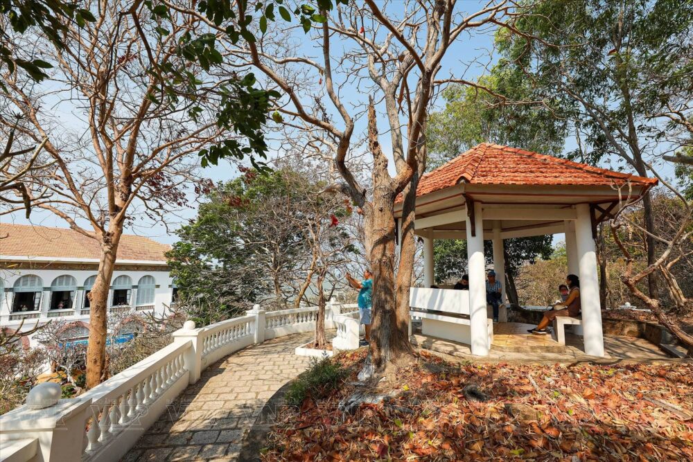 Capture dreamy check-in photos against the romantic backdrop of Bach Dinh